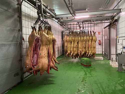 matadero